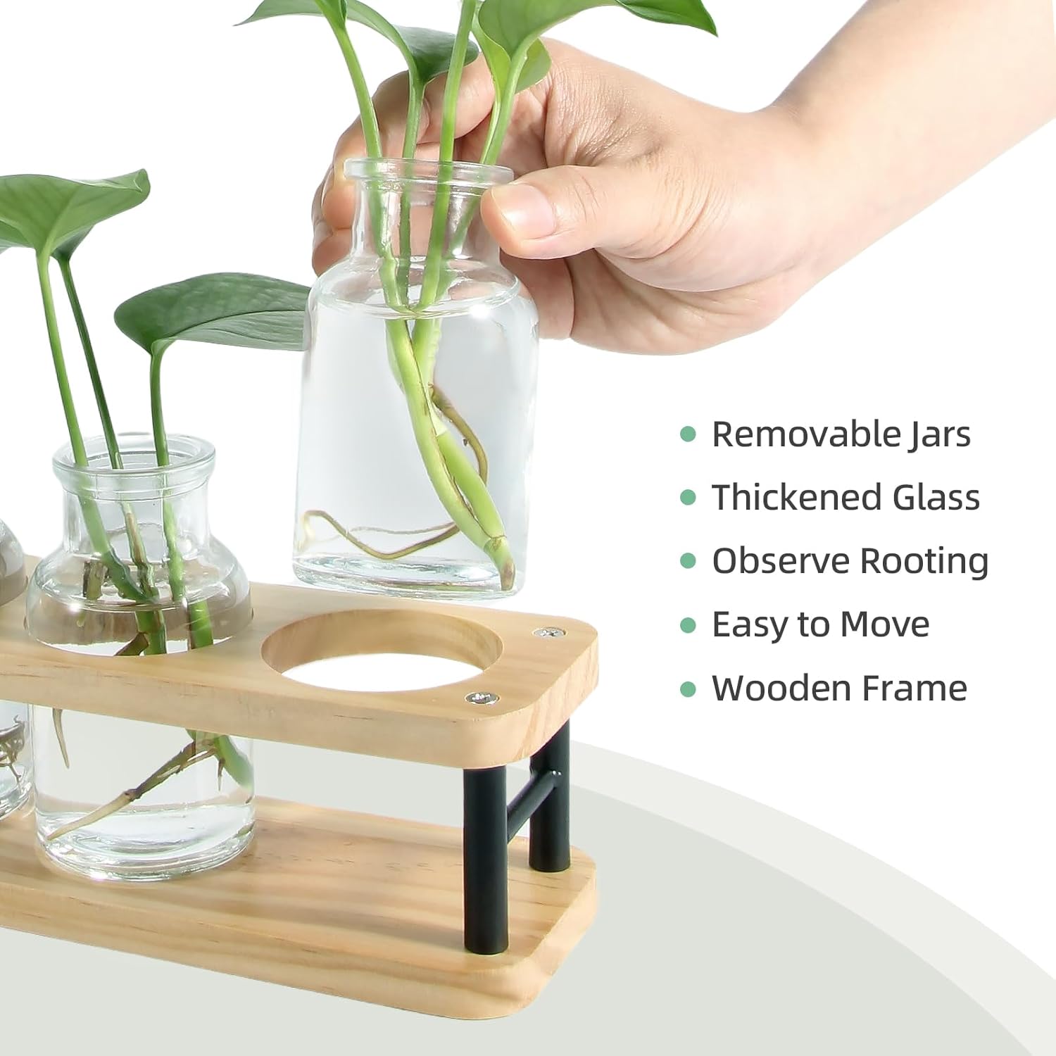 Propagation Station with Woode - Propagation Station Vase avis et prix