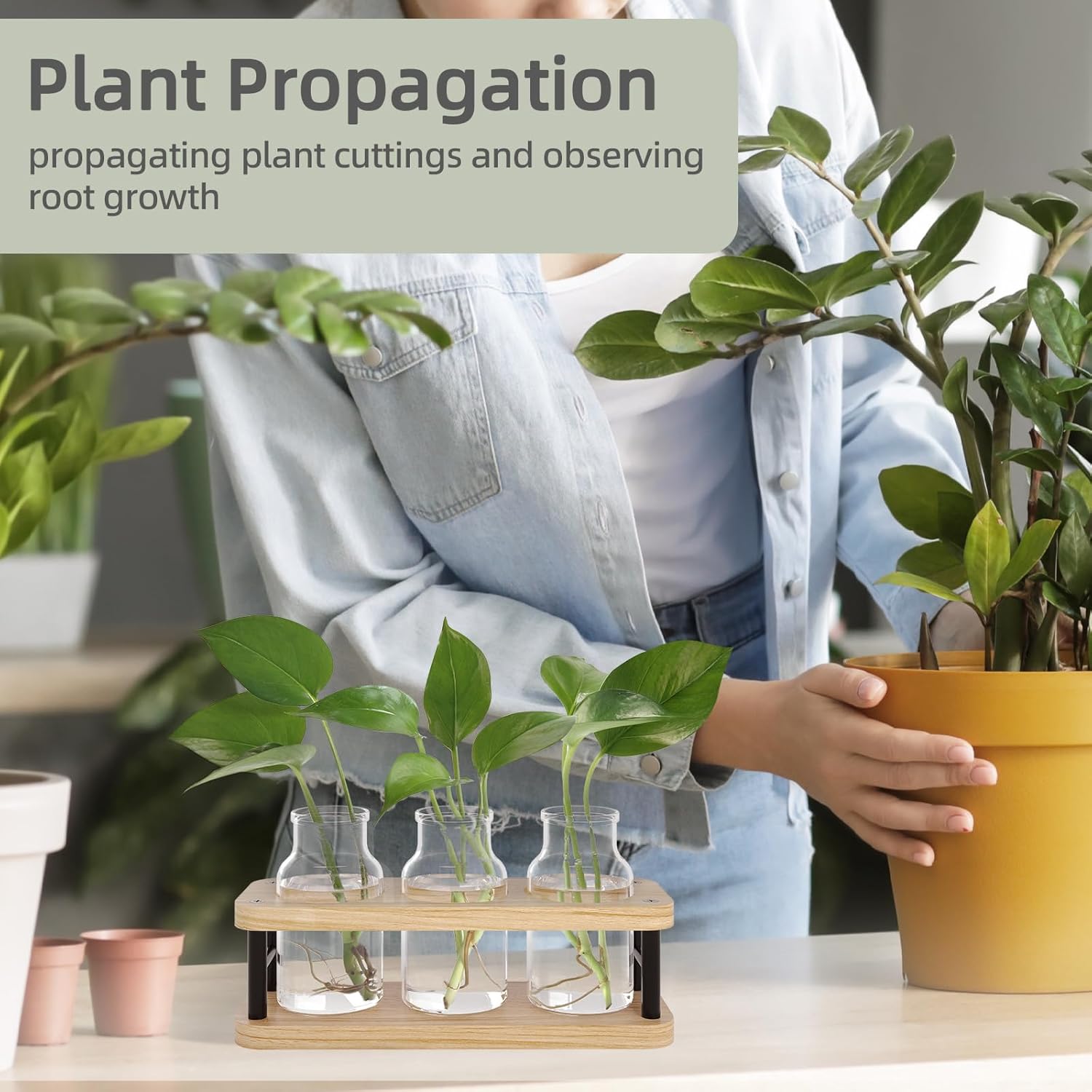 Propagation Station with Woode - Propagation Station Vase avis et prix