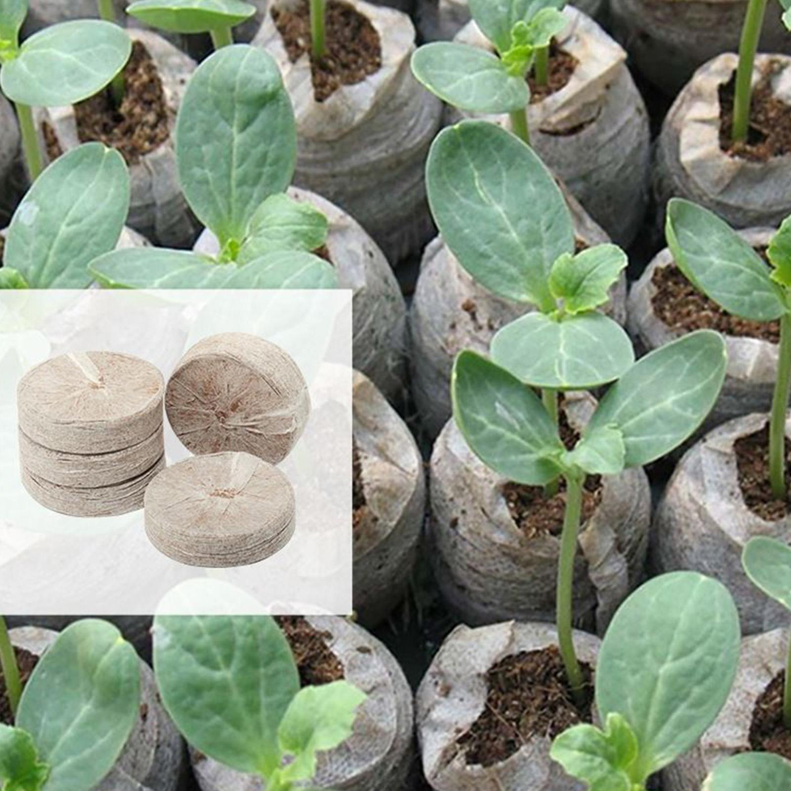 100 Piece Potting Mix Trays 30 - Peat Pellet Tray avis et prix
