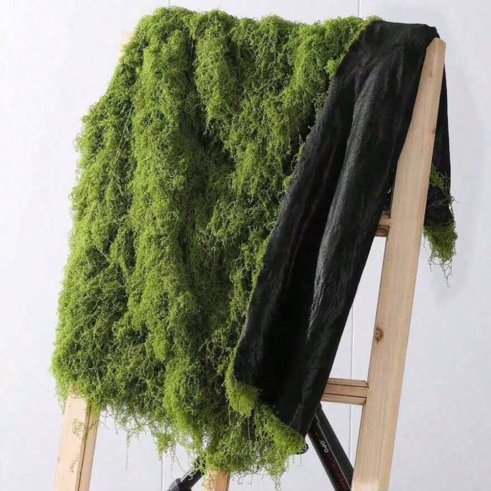 1*1m Fake Moss DIY Crafts Gras - Sphagnum Moss Dry avis et prix