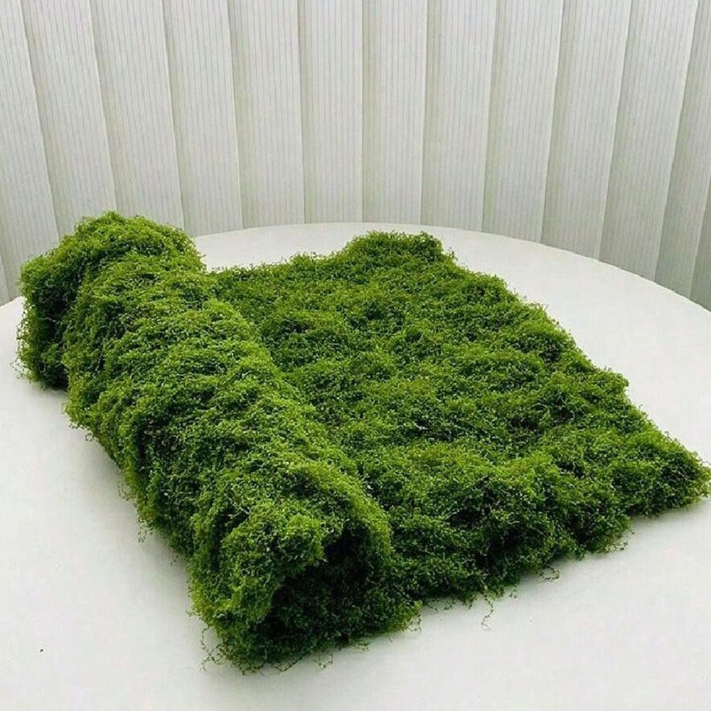 1*1m Fake Moss DIY Crafts Gras - Sphagnum Moss Dry avis et prix