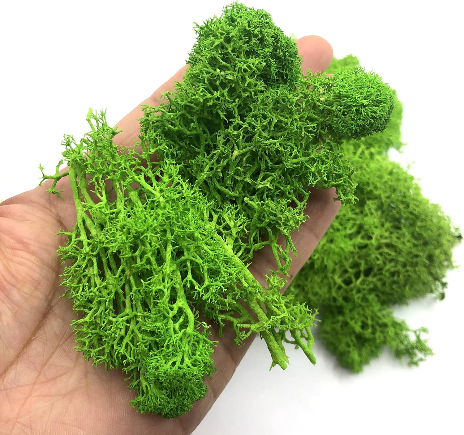 200g Artificial Green Plants M - Sphagnum Moss Dry avis et prix