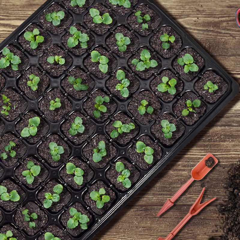 ABGH-10 Pack Seed Starter Tray - Propagation Tray 72 avis et prix