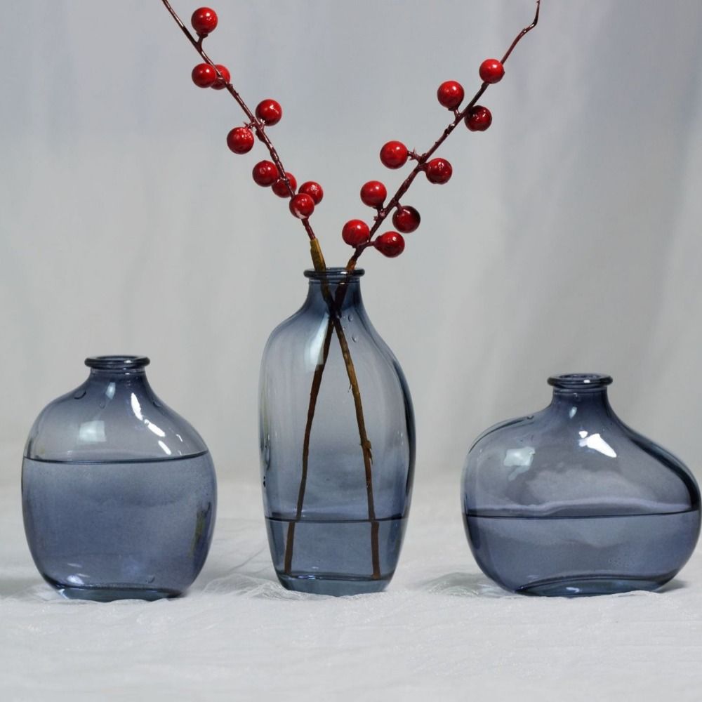 Fashion Retro Flower Vase Glas - Propagation Station Vase avis et prix