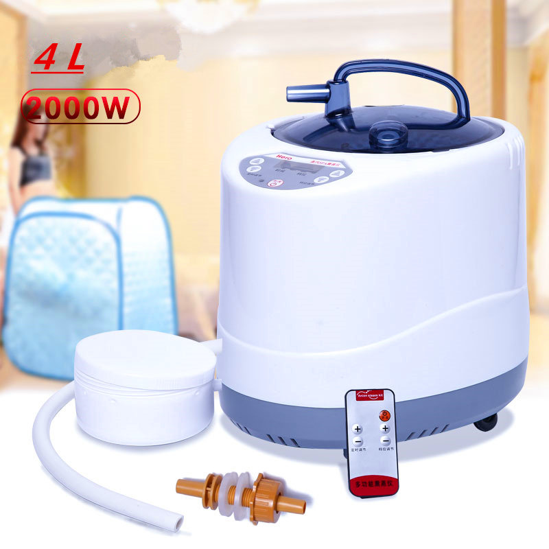 Steam Generator 220V/110V  EU  - Self Watering Insert avis et prix