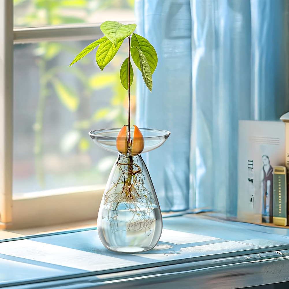 Avocado Seed Starter Vase Tran - Propagation Station Vase avis et prix