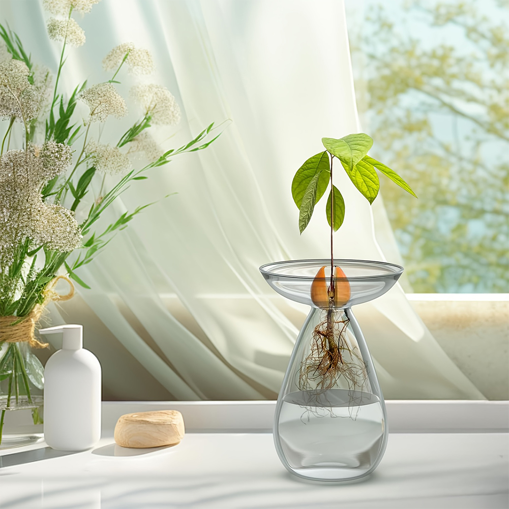 Avocado Seed Starter Vase Tran - Propagation Station Vase avis et prix