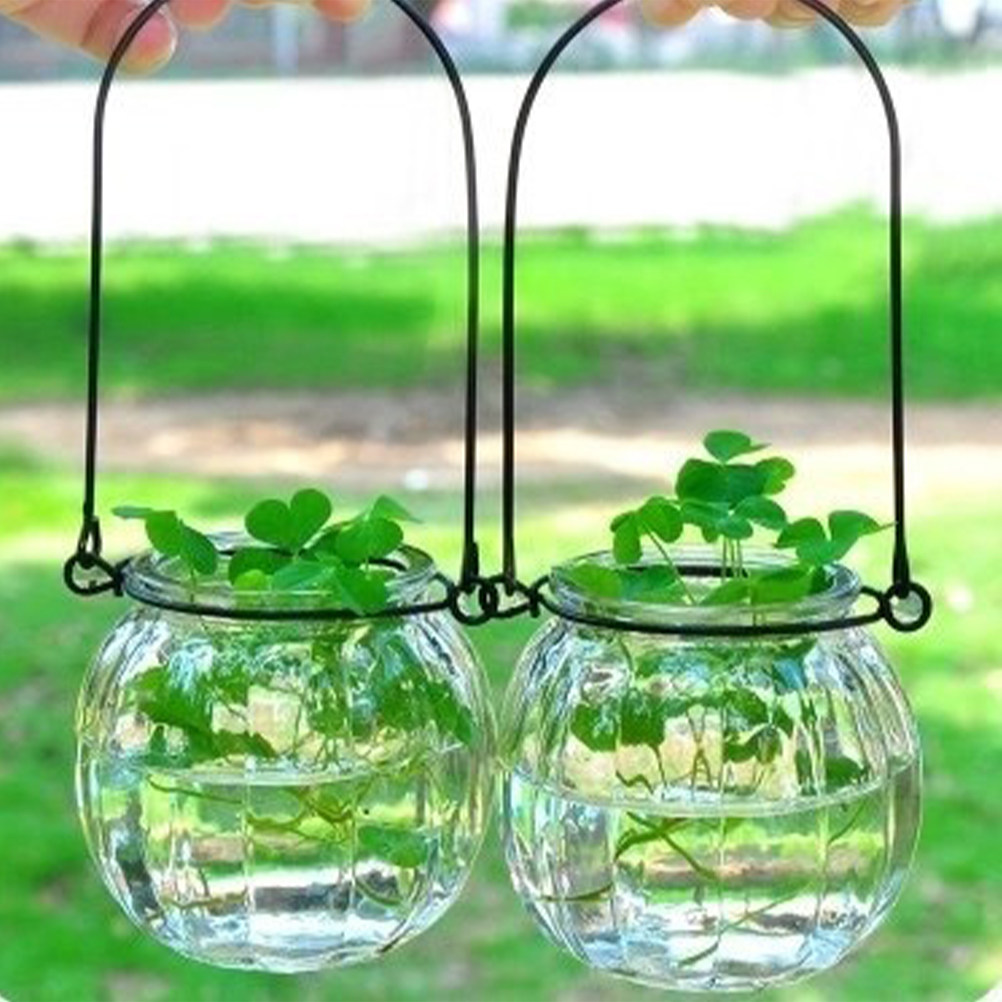 6Pcs Transparent Hanging Glass - Propagation Station Vase avis et prix