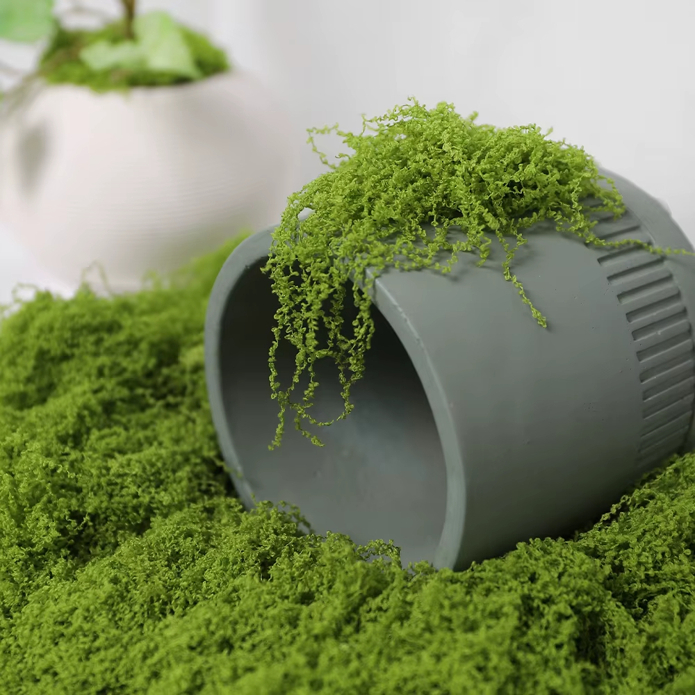 30/100g Artificial Green Plant - Sphagnum Moss Dry avis et prix