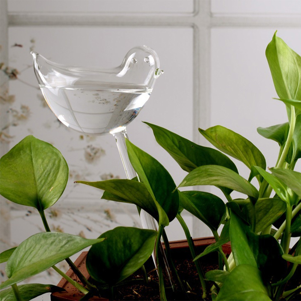 Automatic Plant Watering Bulbs - Self Watering Insert avis et prix