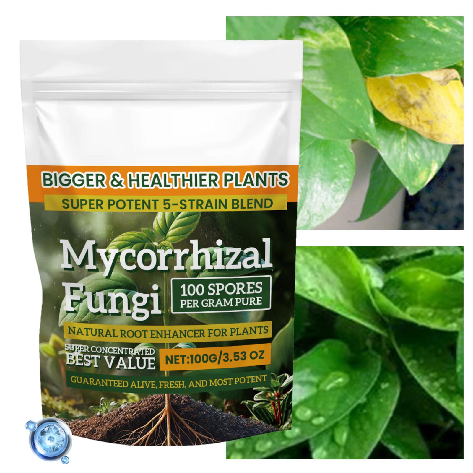 Plant Growth Enhancer Powder 1 - Rooting Hormone Powder avis et prix