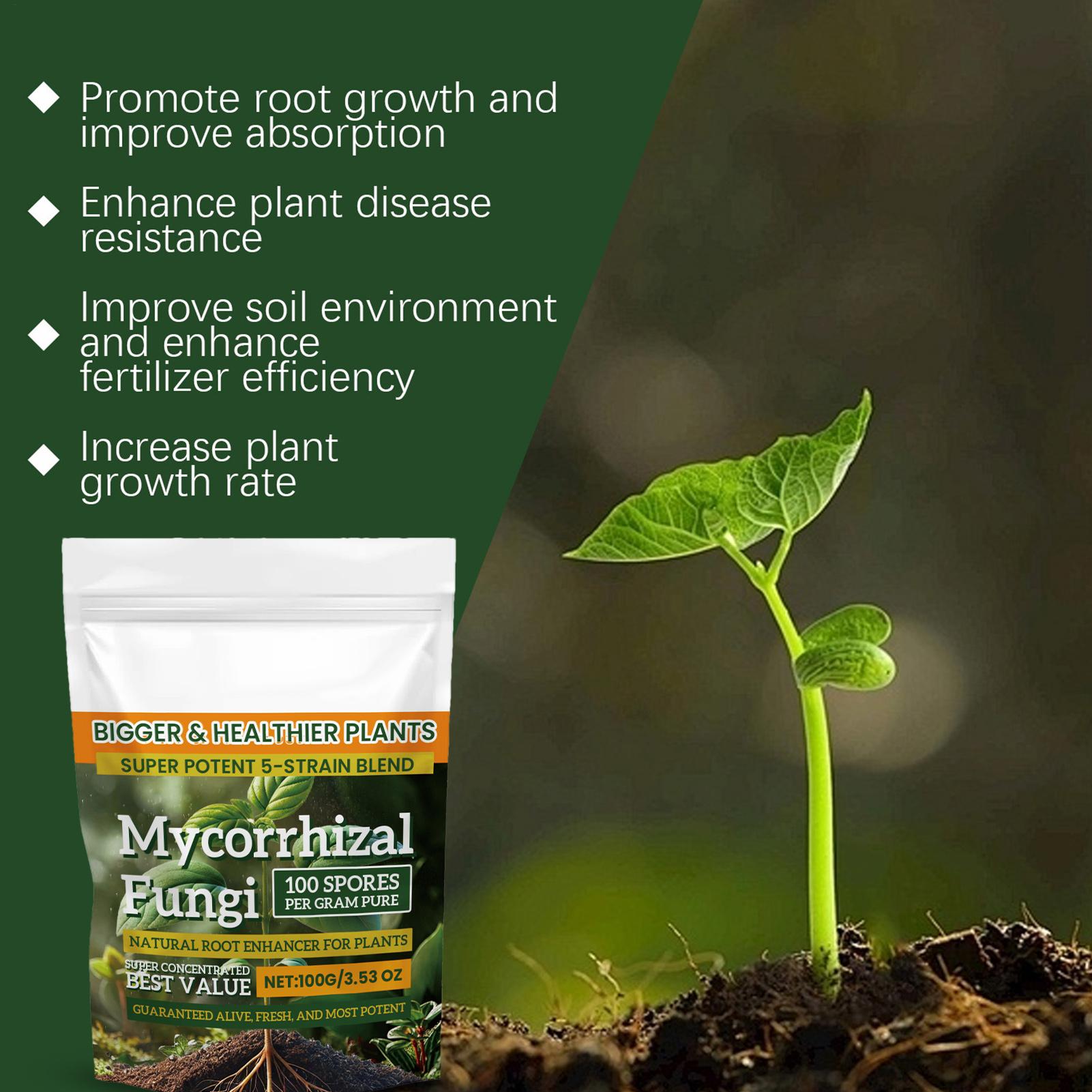 Plant Growth Enhancer Powder 1 - Rooting Hormone Powder avis et prix