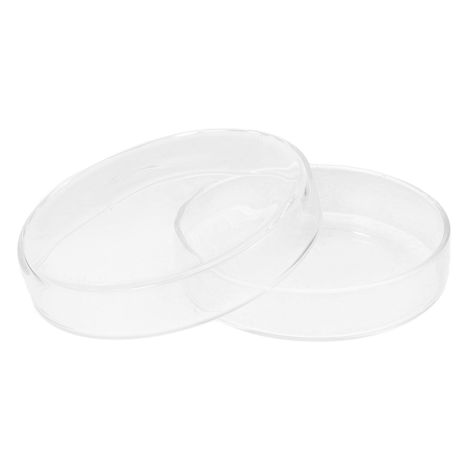 High Borosilicate Glass Petri  - Agar Tissue Culture avis et prix