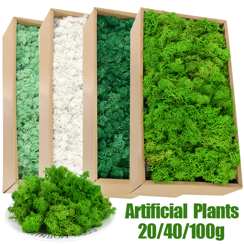 20/40/100g Artificial Green Pl - Sphagnum Moss Dry avis et prix