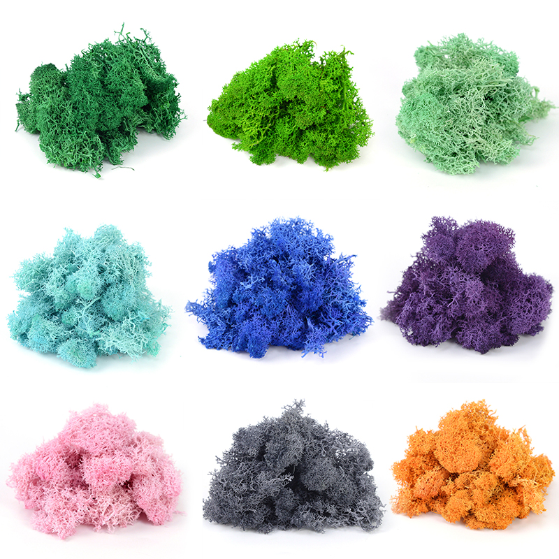 20/40/100g Artificial Green Pl - Sphagnum Moss Dry avis et prix