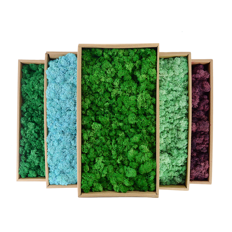 20/40/100g Artificial Green Pl - Sphagnum Moss Dry avis et prix