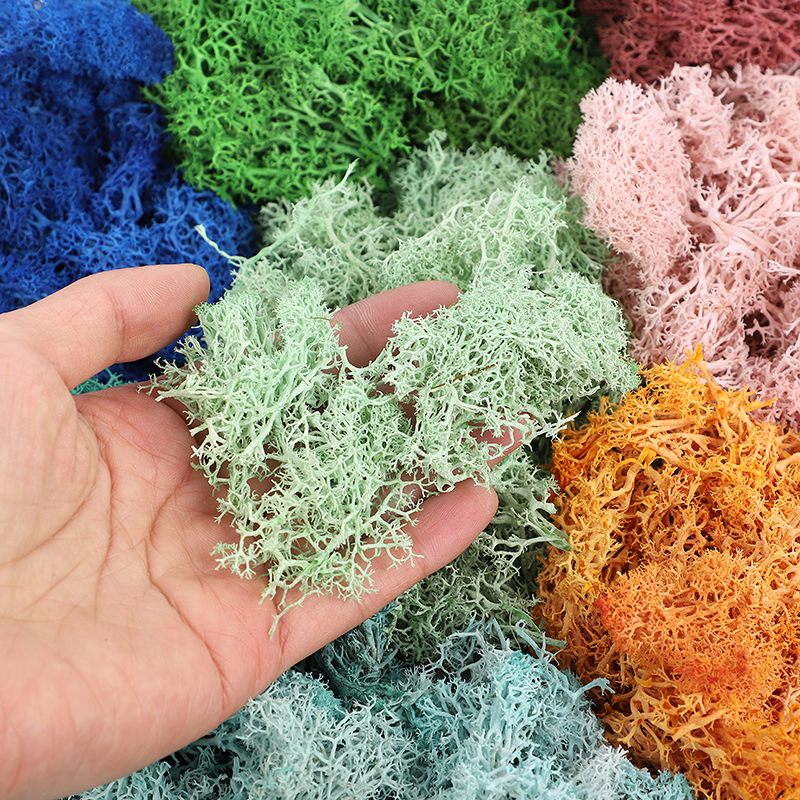 20/40/100g Artificial Green Pl - Sphagnum Moss Dry avis et prix