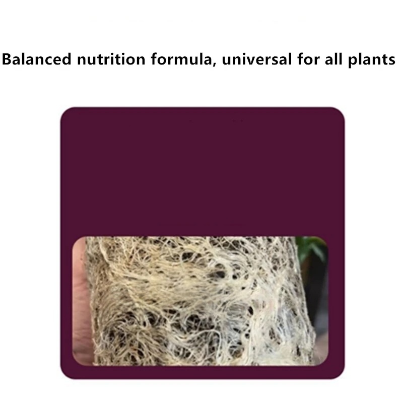 2bags Rooting Hormone Powder U - Rooting Hormone Powder avis et prix