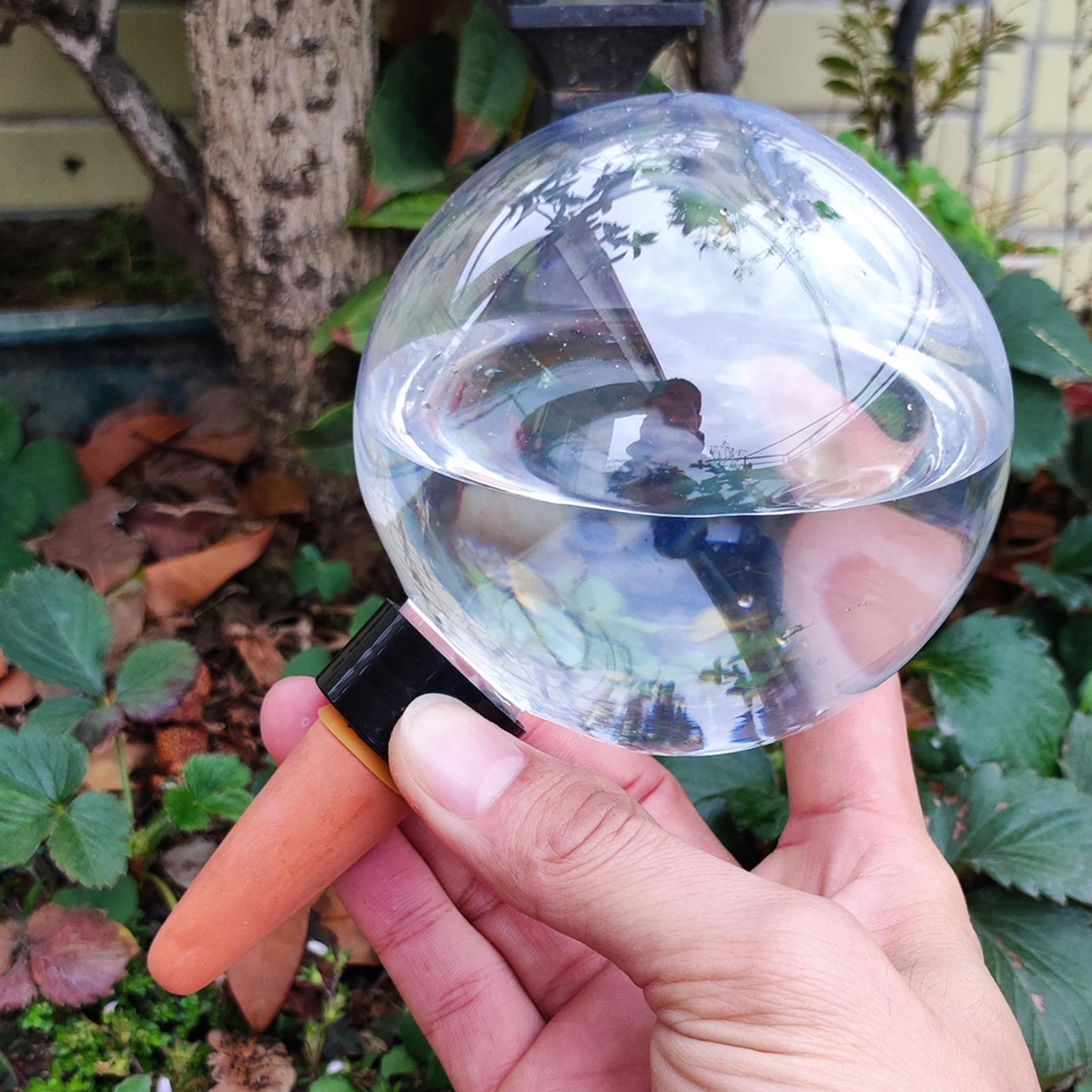 500ml Automatic Plant Watering - Self Watering Insert avis et prix