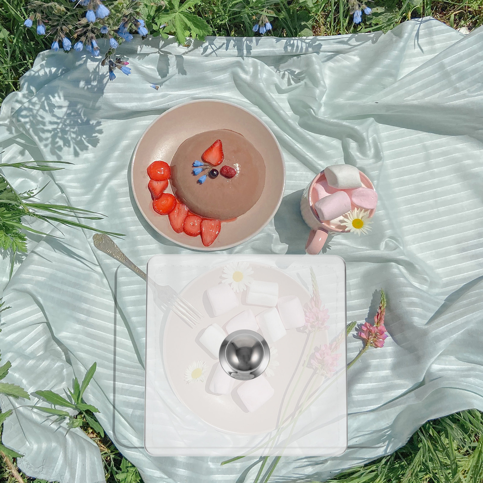 Square Glass Cake Dome Buffet  - Plastic Dome Clear avis et prix