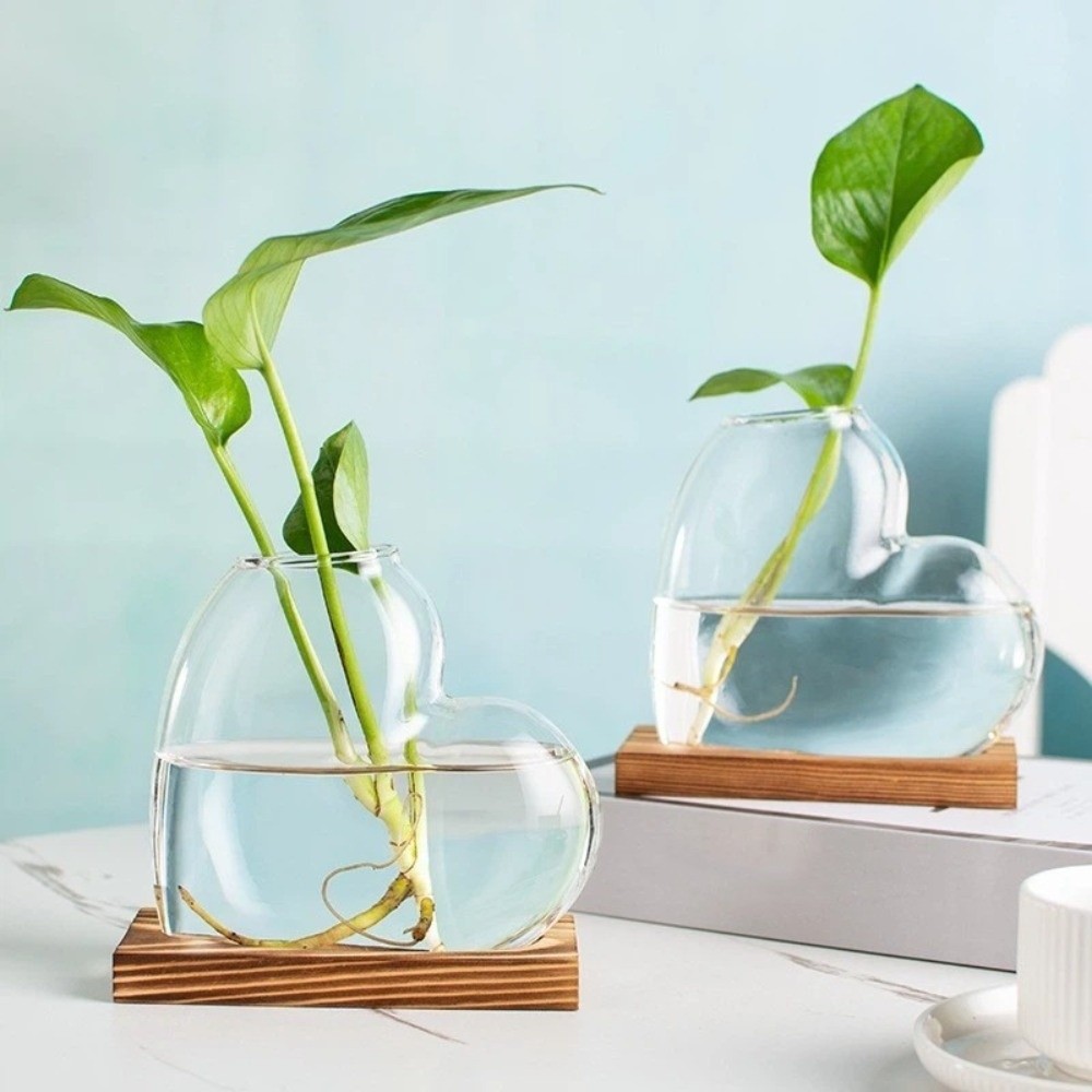 Transparent Hydroponic Glass V - Propagation Station Vase avis et prix