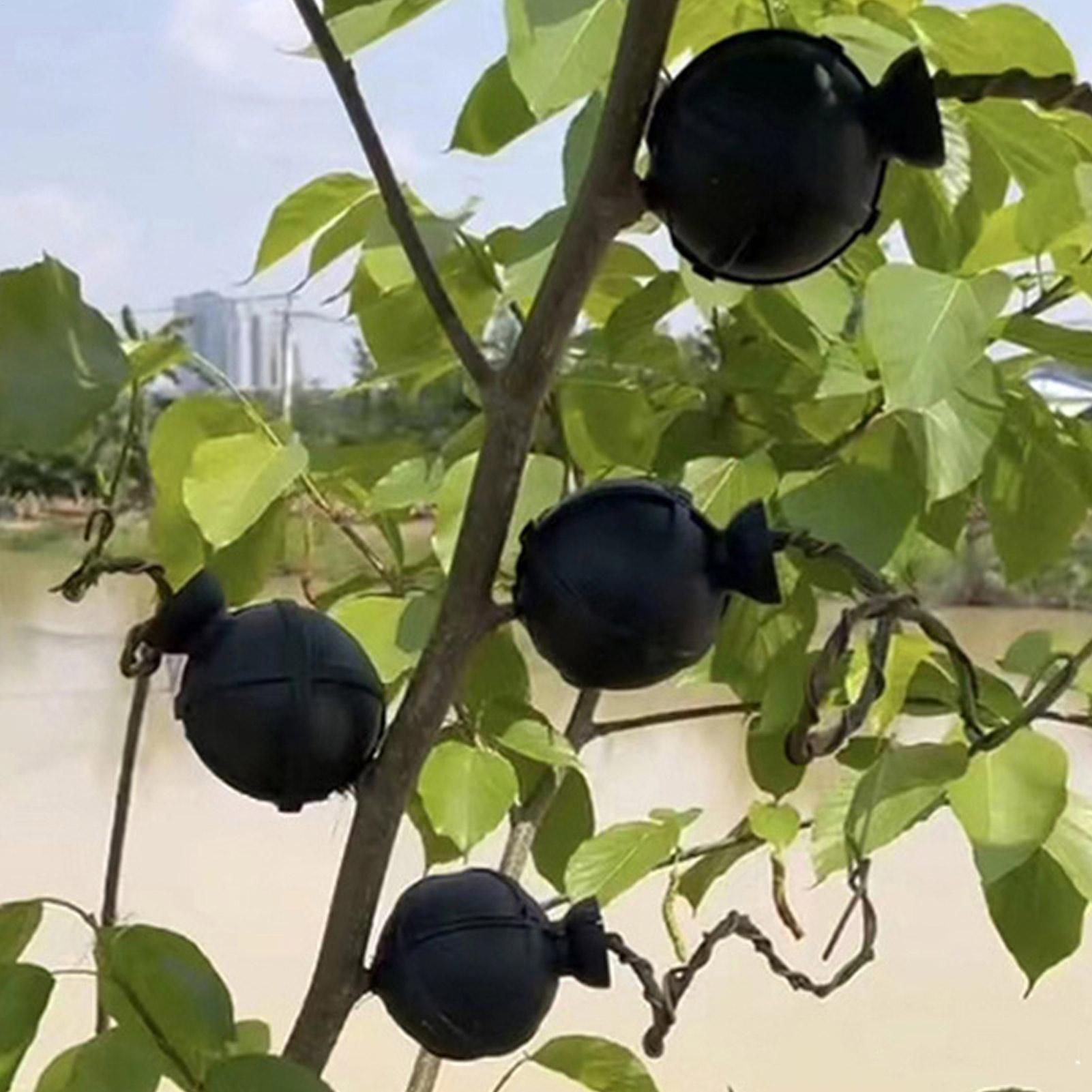 Garden Orchard Plants Grafting - Rooting Gel Clone avis et prix
