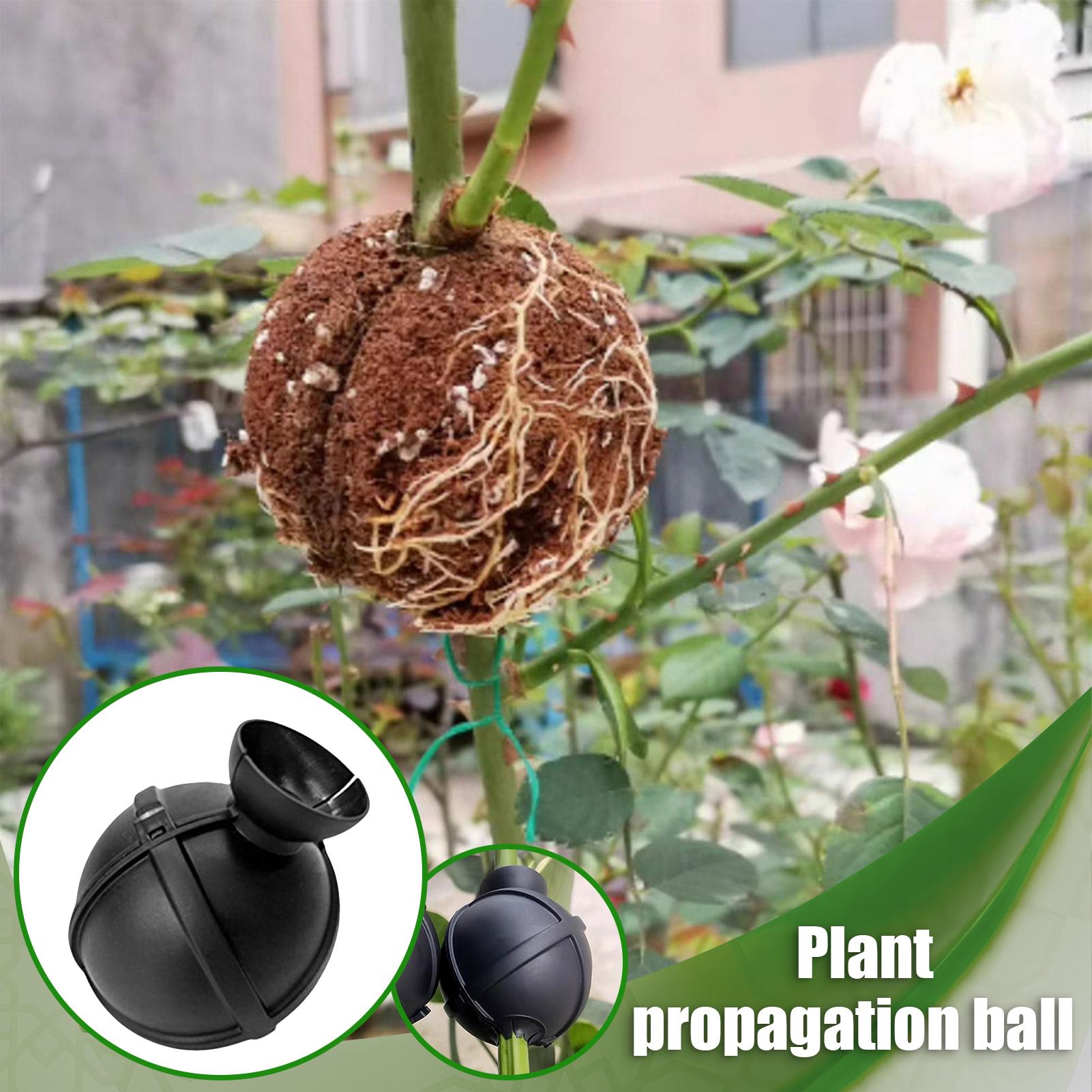 Garden Orchard Plants Grafting - Rooting Gel Clone avis et prix