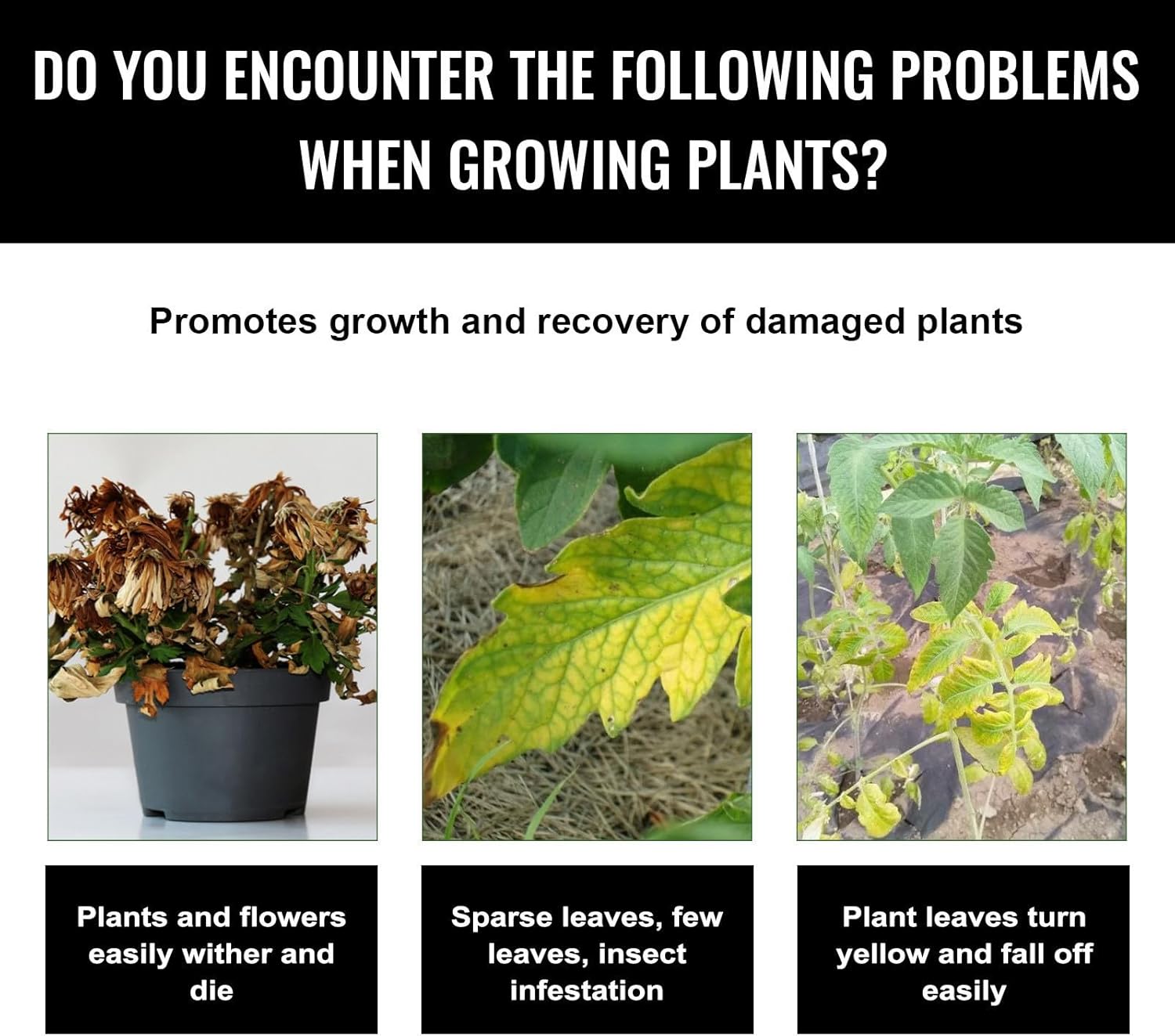 Liquid Plant Growth Enhancers  - Root Stimulator Liquid avis et prix