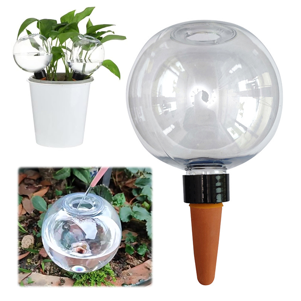 500ML Automatic Plant Waterer  - Self Watering Insert avis et prix