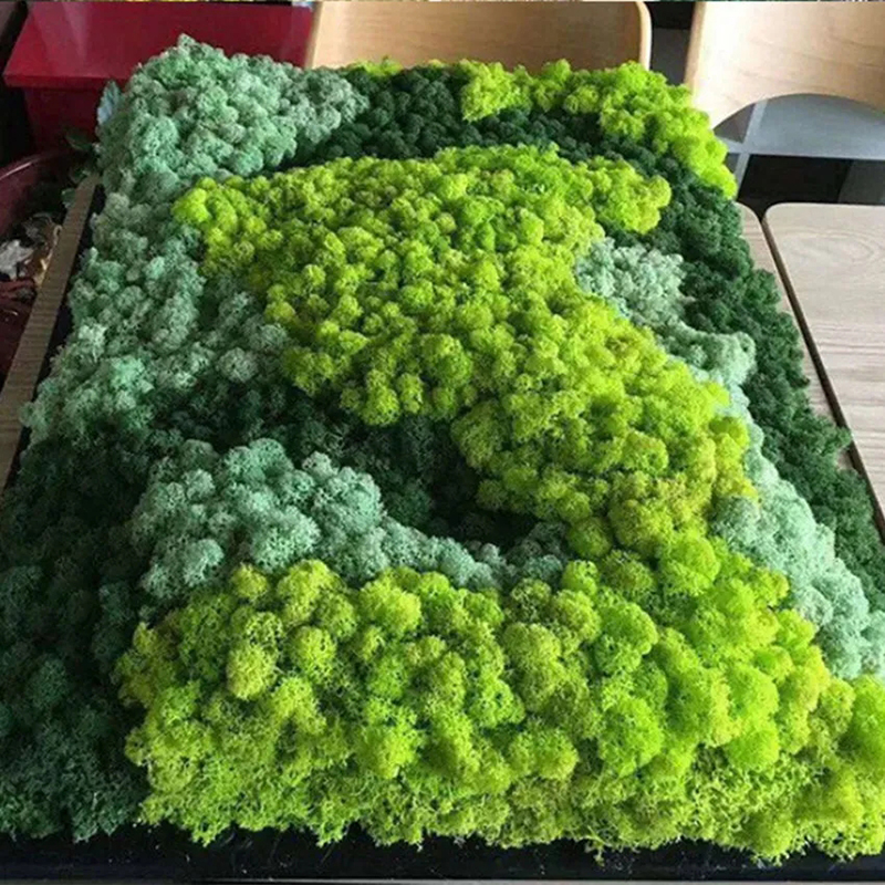 40/20g Artificial Moss Grass G - Sphagnum Moss Dry avis et prix