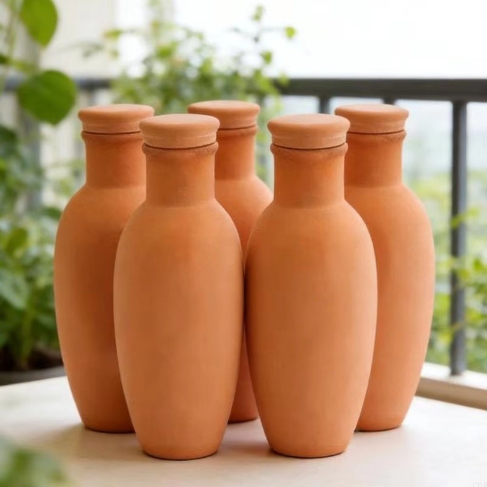 4Pcs Terracotta Material Autom - Self Watering Insert avis et prix