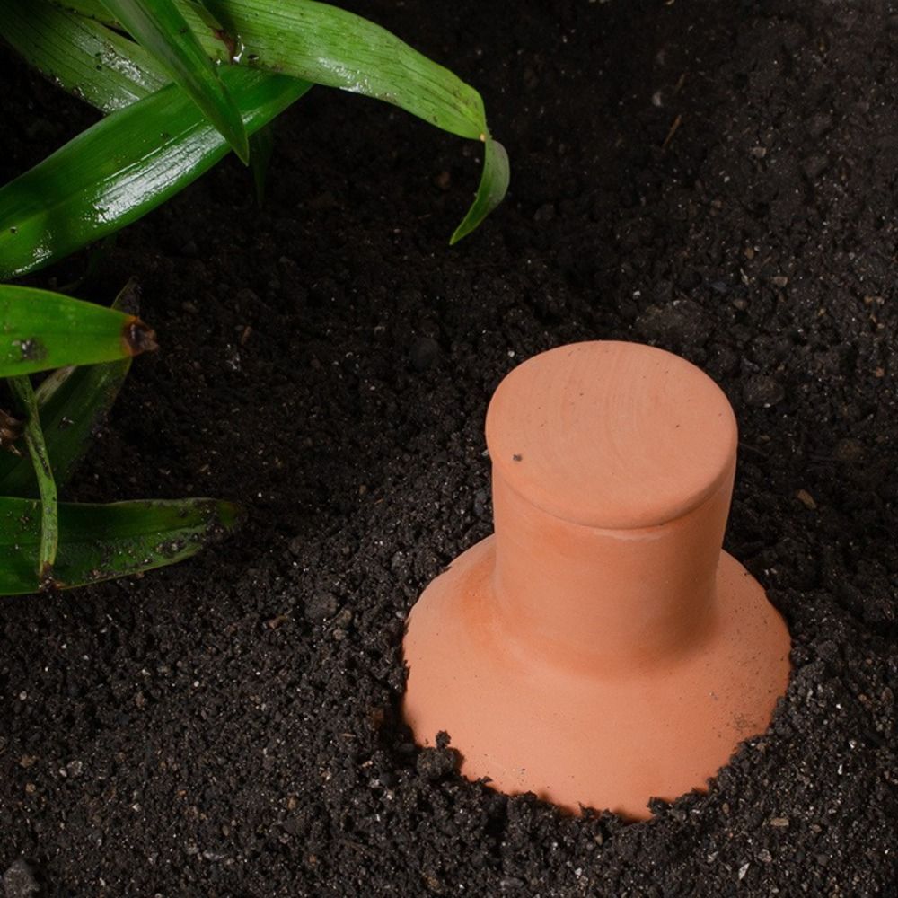 4Pcs Terracotta Material Autom - Self Watering Insert avis et prix