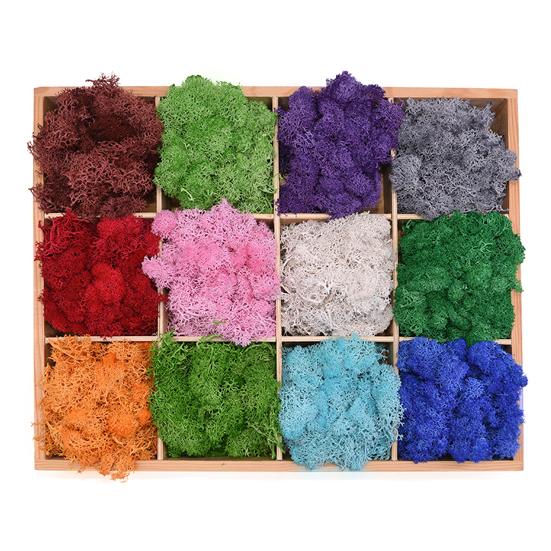 20-40g Artificial Natural Plan - Sphagnum Moss Dry avis et prix