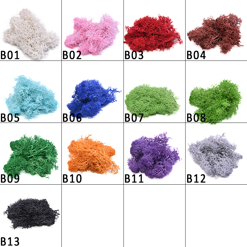 20-40g Artificial Natural Plan - Sphagnum Moss Dry avis et prix